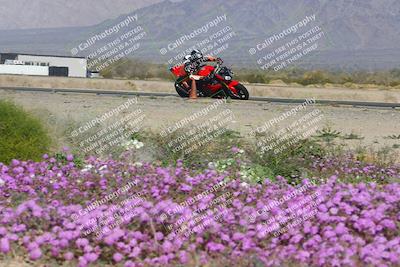 media/Feb-04-2023-SoCal Trackdays (Sat) [[8a776bf2c3]]/Turn 15 Inside Blooming (1050am)/